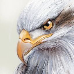 Acrylmalkurs mit Carmen Högger im Atelier boesner in Aarberg