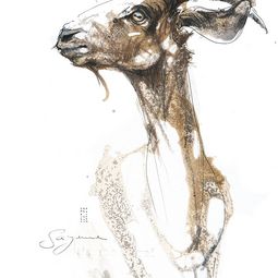 Zeichnungs Kurs im Atelier boesner mit Sayenne Sandra Chiocchetti 