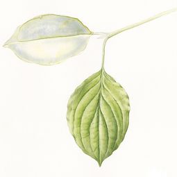 Kurs im Atelier boesner in Münchwilen mit Sonja Beer