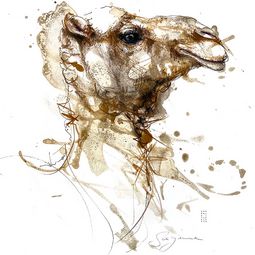 Zeichnungs Kurs im Atelier boesner mit Sayenne Sandra Chiocchetti 