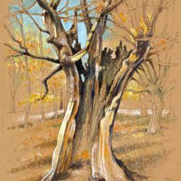 Natural Sketching Kurs im Atelier boesner in Aarberg mit Hans-Christina Sanladerer