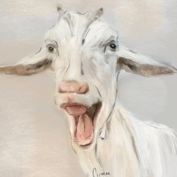 Acrylmalkurs mit Carmen Högger im Atelier boesner in Aarberg