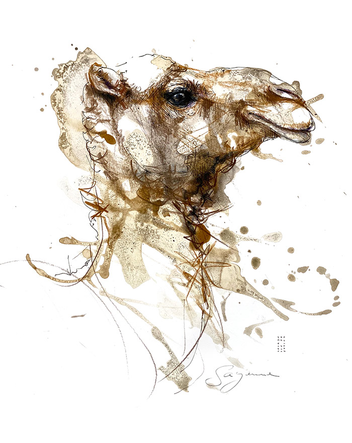 Zeichnungs Kurs im Atelier boesner mit Sayenne Sandra Chiocchetti 