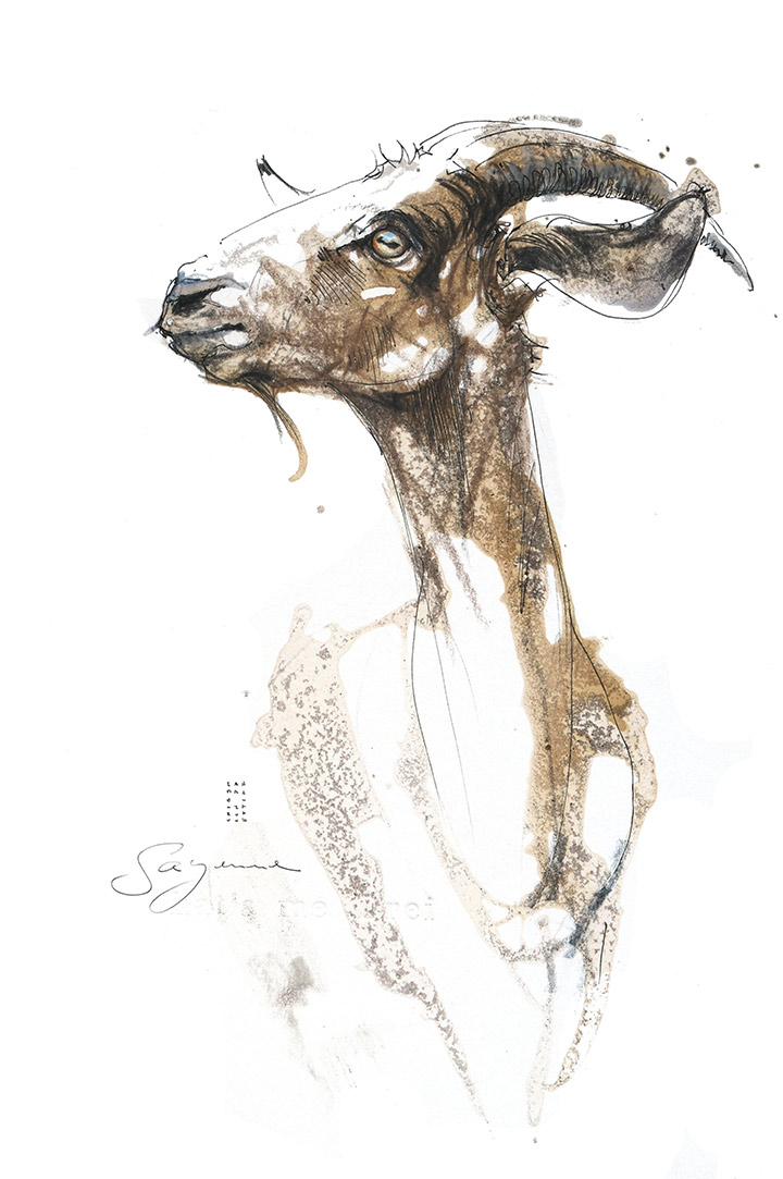 Zeichnungs Kurs im Atelier boesner mit Sayenne Sandra Chiocchetti 