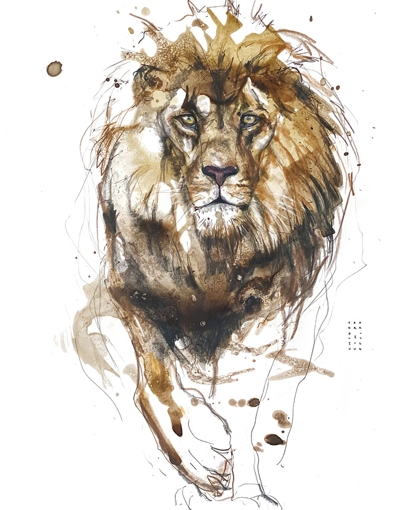 TIERART MIT FOKUS Kurs mit Sandra Chiocchetti im Atelier boesner