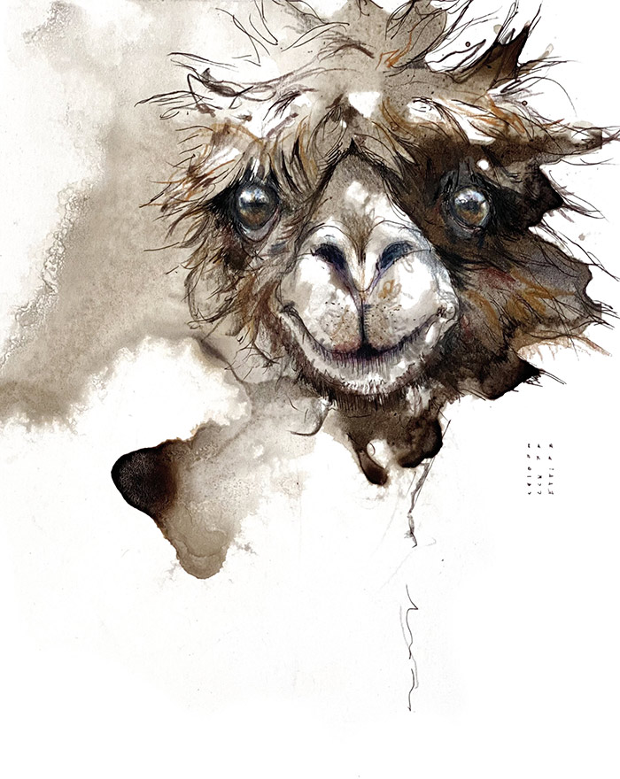 Faszinierende TierART Kurs mit Sandra Chiocchetti im Atelier boesner