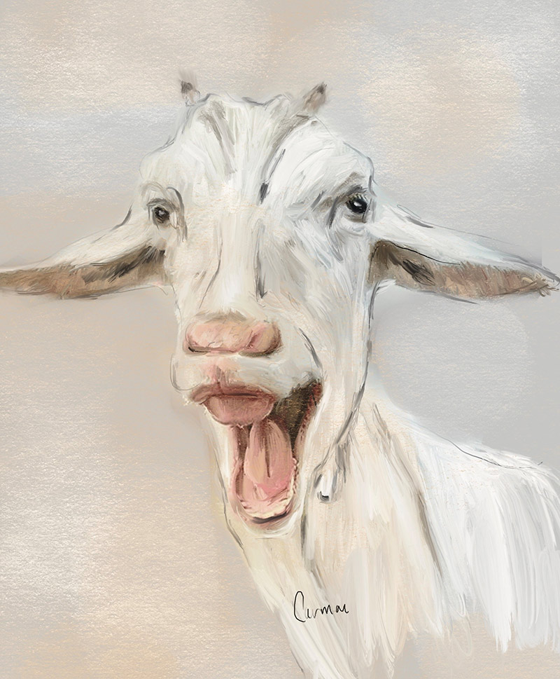 Acrylmalkurs mit Carmen Högger im Atelier boesner in Aarberg