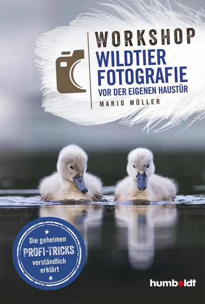 Humboldt Verlags GmbH Wildtier Fotografie vor der eigenen Haustür