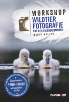 Wildtier-Fotografie