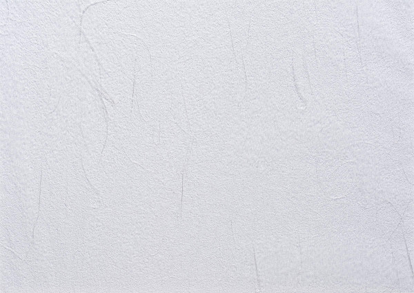 Hakuryu | Awagami-Japanpapier
