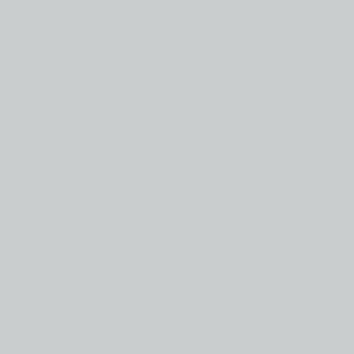 Neutral Grey 3