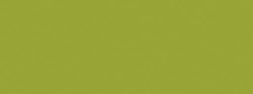 vert olive clair