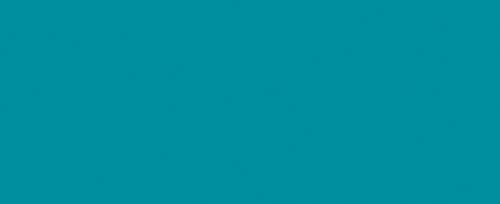 Petrol