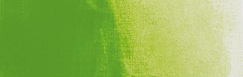 Vert feuille