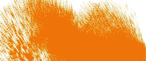 Neonorange