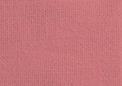 Rose de venise