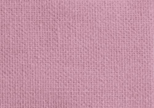 Rose persique