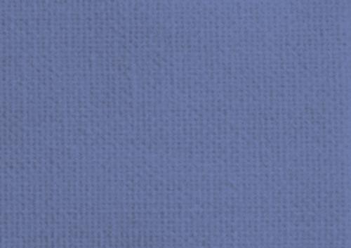 Violet gris