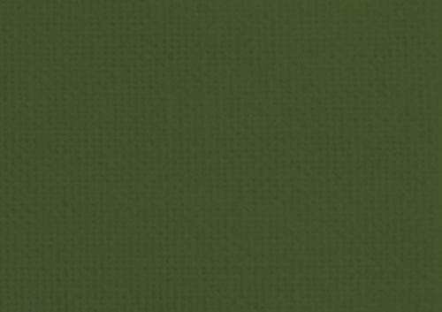 Vert olive foncé