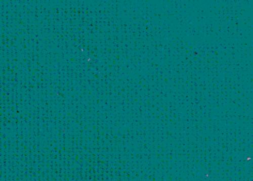 Vert turquoise
