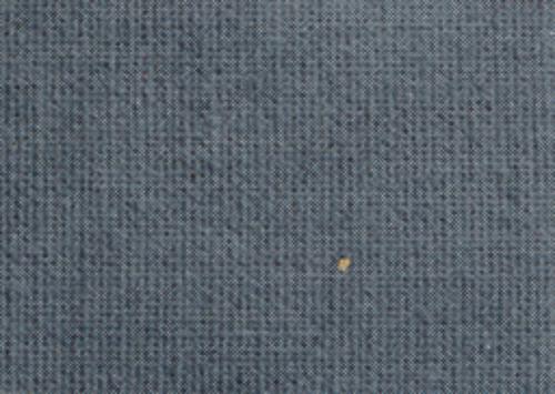 Gris neutre