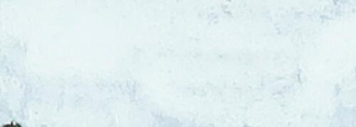 Weiss