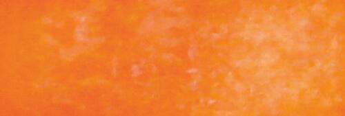 Neon Orange
