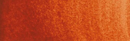 Roter Bolus