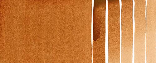 Burnt Sienna