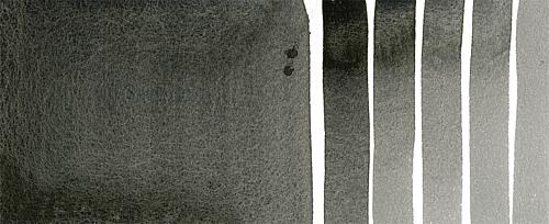 Payne's Gray
