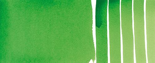 Permanent Green Light