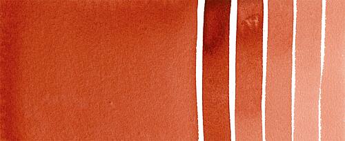 Quinacridone Burnt Scarlet