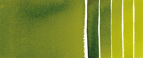 Sap Green