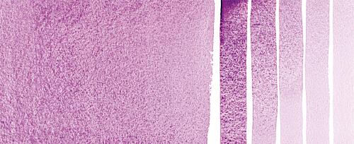 Ultramarine Violet