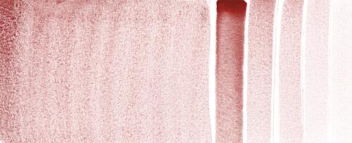 Potters Pink