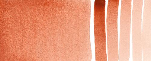 Fired Gold Ochre