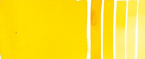 Mayan Yellow