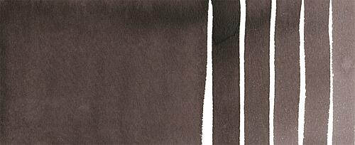 Neutral Tint