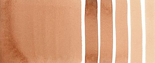 Burnt Sienna Light