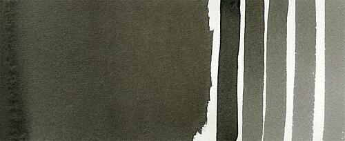 Alvaro's Caliente Grey