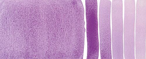 Manganese Violet