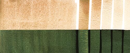 Duochrome Saguaro Green