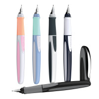 Schneider RayM+ | Einzelstift 