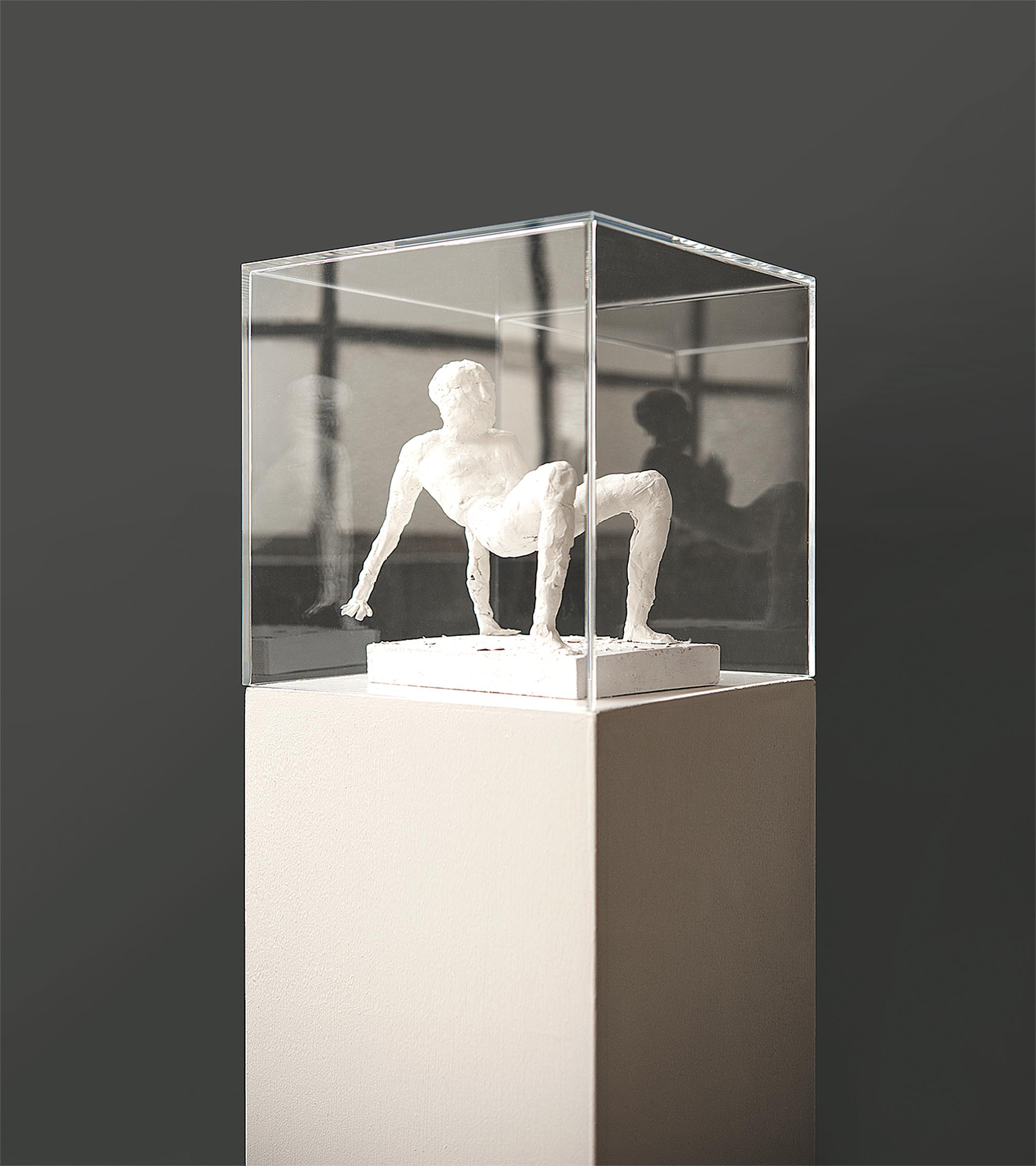 Briolet Acrylglashaube für Galerie- sockel und Skulpturenständer