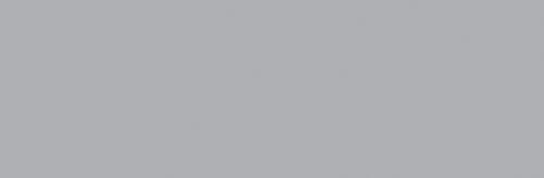 Cool Grey 2