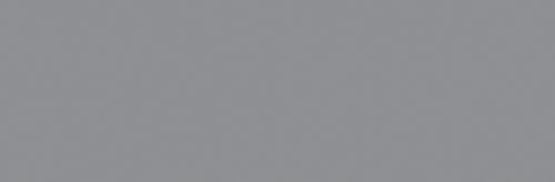 Cool Grey 3
