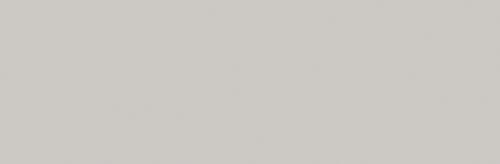 Warm Grey 1