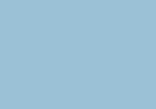 Dark pigeon blue