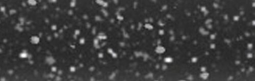 Glitzer-Schwarz