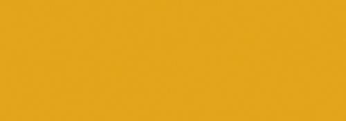 Neonorange